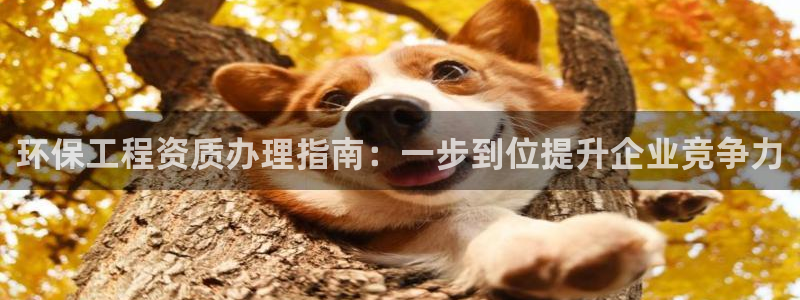 彩名堂下载官网：环保工程资质办理指南：一步到位提升企业竞争力