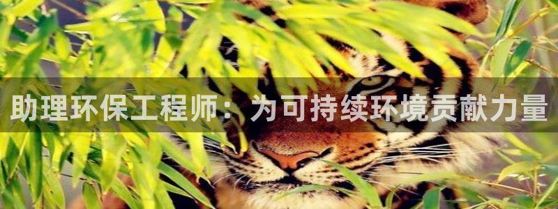 彩名堂移动客户端：助理环保工程师：为可持续环境贡献力量