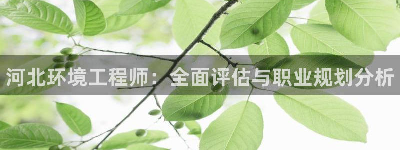 彩名堂怎么打最稳：河北环境工程师：全