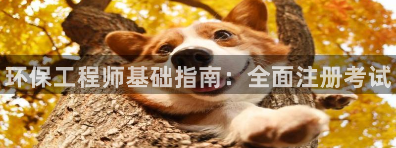 彩名堂app计划官方网站：环保工程师